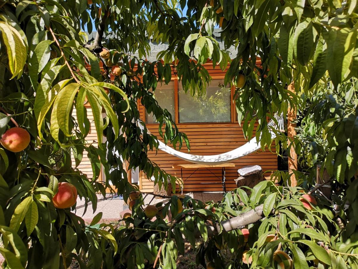 Relax Eaza - Casa Cu Hamac Villa Constanta Exterior photo